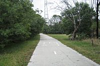 Dandenong Creek Trail Koomba Park.jpg