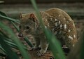 於 2010年2月28日 (日) 22:37 版本的縮圖