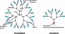 Depiction of a dendrimer. A dendron represents a single unit of a dendrimer. Dendrimer and dendron.jpg