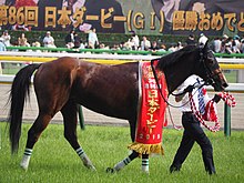 第86回東京優駿 - Wikipedia