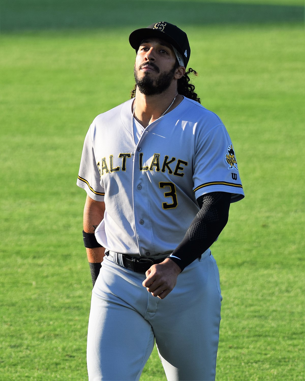 Salt Lake Bees - Wikipedia