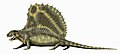D. gigashomogenes (Case 1907) テキサス州で発見された大型種。全長は3.3m、帆は高く短い。