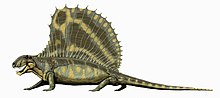 rekonstruktion av Dimetrodon gigashomog