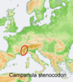 Distribution map Campanula stenocodon.png