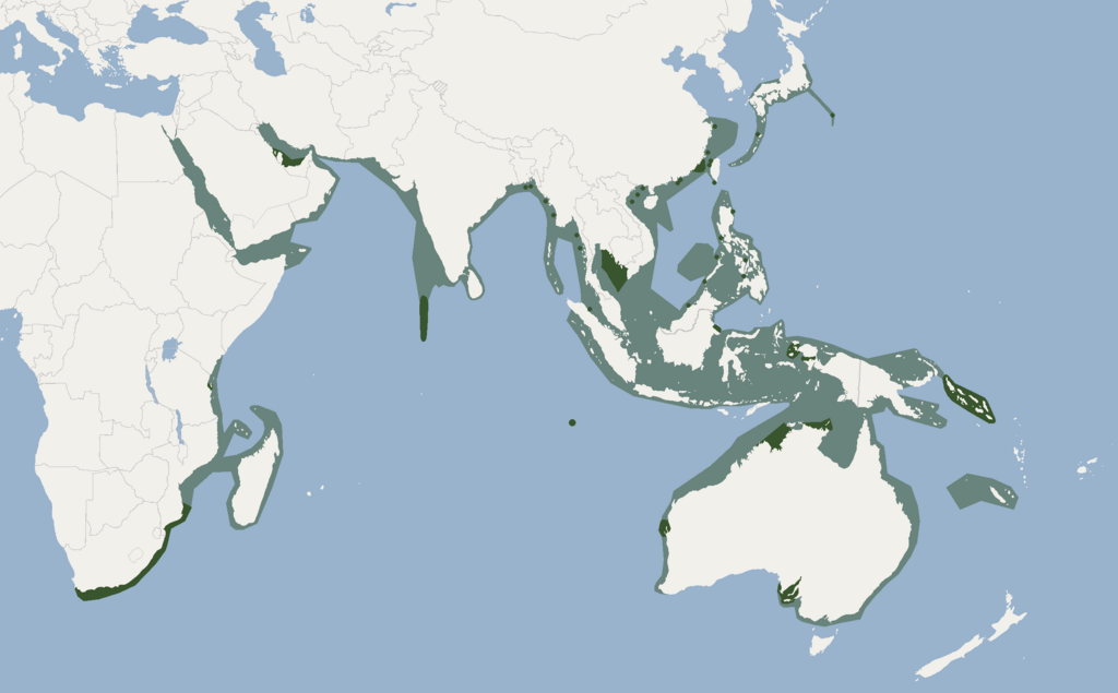 Distribution of Tursiops aduncus.png