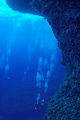 Divers, Monito Island, Puerto Rico.jpg