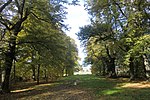 Flächennaturdenkmal Pieschener Allee