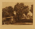 Edward S. Curtis Collection Modern houses at Palm Springs - Cahuilla.jpg