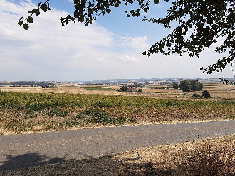 File:Eifel south of Mayen.jpg