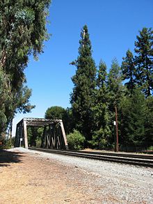 A tree with slightly bare top in the background, blue sky, large worn-out railroad trestle in front