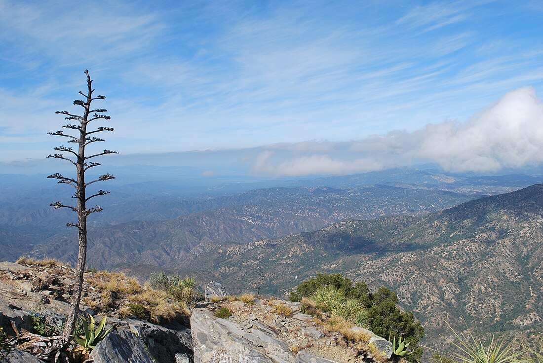 Sierra La Laguna