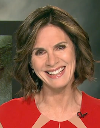 <span class="mw-page-title-main">Elizabeth Vargas</span> American television journalist