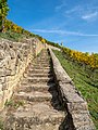 * Nomination Stairway to Vogelsburg Castle in the Escherndorfer Lump Vineyard --Ermell 09:08, 27 December 2021 (UTC) * Promotion  Support Good quality. --Tournasol7 09:51, 27 December 2021 (UTC)