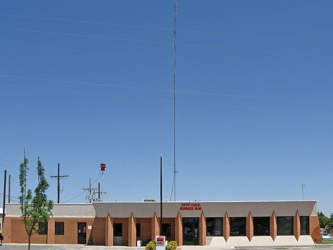 File:Eunice New Mexico City Hall.jpg