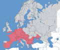 Invasive range in Europe (in red)