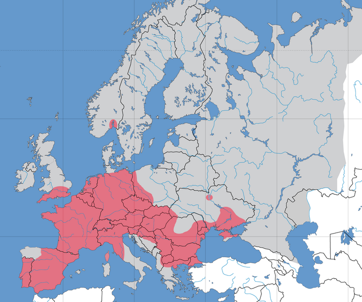 File:Europe Lepomis map.png