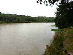 L'étang de Farganaud à Saint-Laurent-des-Hommes.