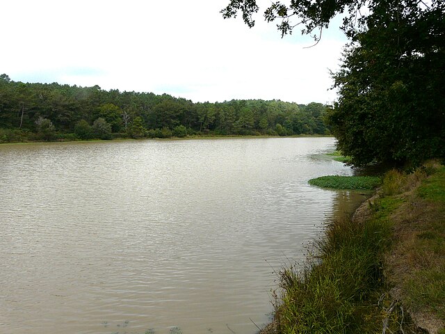 File:Farganaud étang.JPG