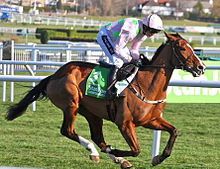 Faugheen gewinnt die Champion Hurdle 2015