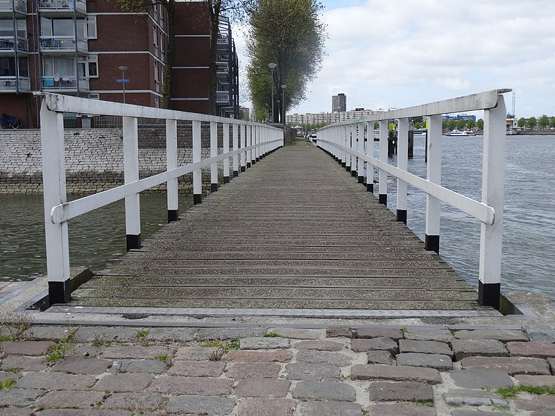 File:Feijenoordbrug - Feijenoord - Rotterdam - View of the bridge from the southeast.jpg