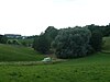 Wetland at Faulherrnhof.jpg