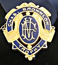 Thumbnail for Brownlow Medal