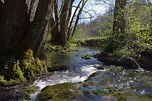 The lower Fischbach, a right tributary of the Seckach, near Sennfeld in the FFH area "Seckachtal und Schefflenzer Wald", 2011