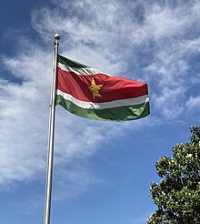 Flag of Suriname on a pole Flag of Suriname.jpg