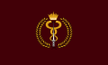 Bahrain Defence Force Royal Medical Services Flag.