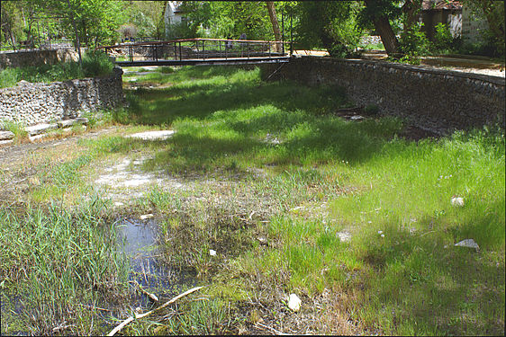 A bottom of a former pond