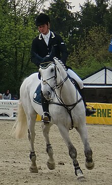 Frederik Knorren und Rubicon du Buisson - Remscheid 2010