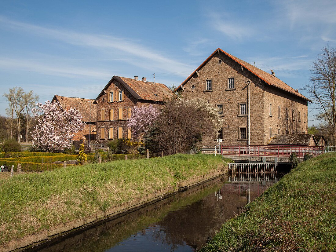 Fronmühle (Haßloch)