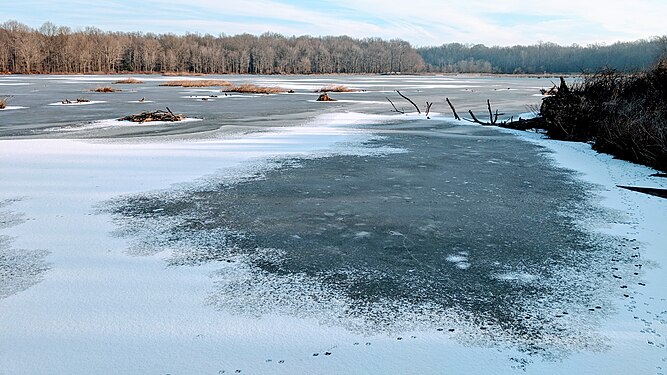 Frozen lake with animal tracks