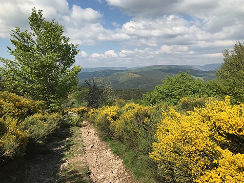 Sur le sentier de grande randonnée GR7