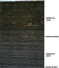 De Kalksteen van Lixhe 3 en de Kalksteen van Lanaye in de noordwand van de ENCI-groeve