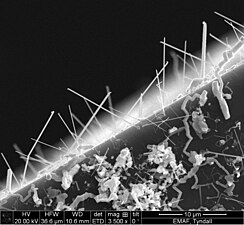 Germanium Telluride nanowires.jpg