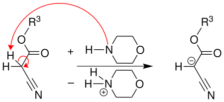 Reaktionsmechanismus der Gewald-Reaktion