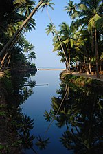 Thumbnail for Coconut production in India