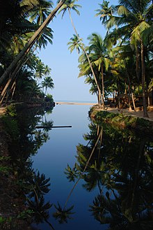 Palm-fringed backwaters of Goa Goan Backwaters.jpeg