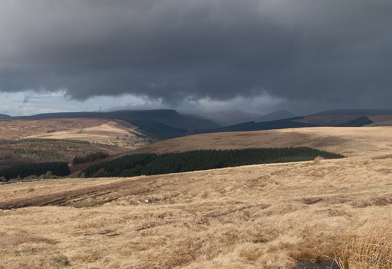 File:Grassy slope above east side of Pontsticill Reservoir - geograph.org.uk - 2645405.jpg