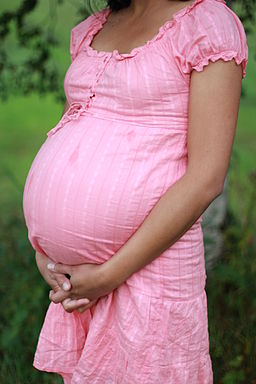 Gravid - pregnant woman