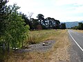 A row of trees beside Woodside Road marks the formation at its closest point to the road.