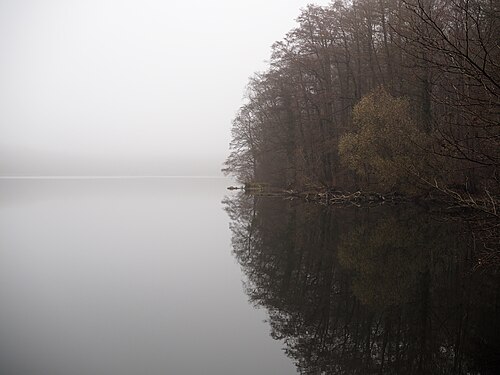 The "big Heinersdorfer lake" in fog.