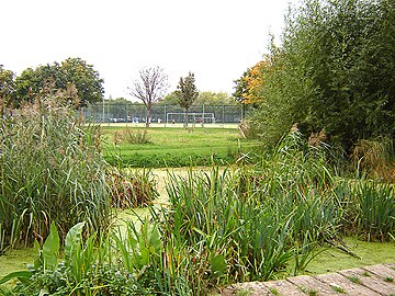 File:Haggerston_park_1.jpg