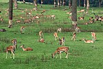 Vorschaubild für Naturwildpark Granat