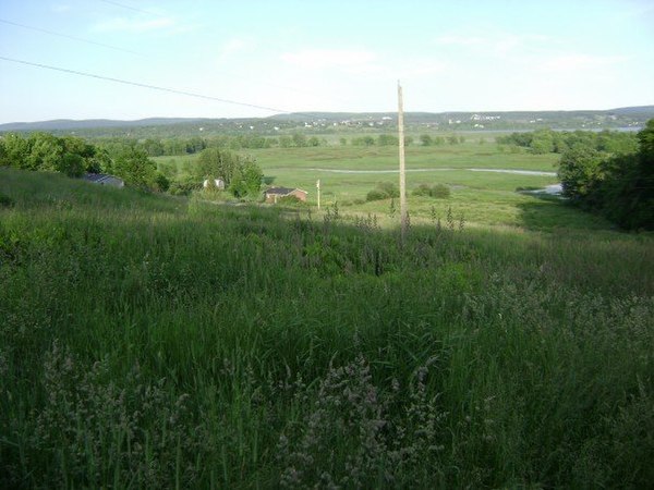 The same area in June 2008, demonstrating the difference in water level.