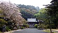 繁多寺（愛媛県松山市）(190414)