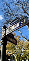 Park Avenue Historic District Harvard Meets Audobon.jpg