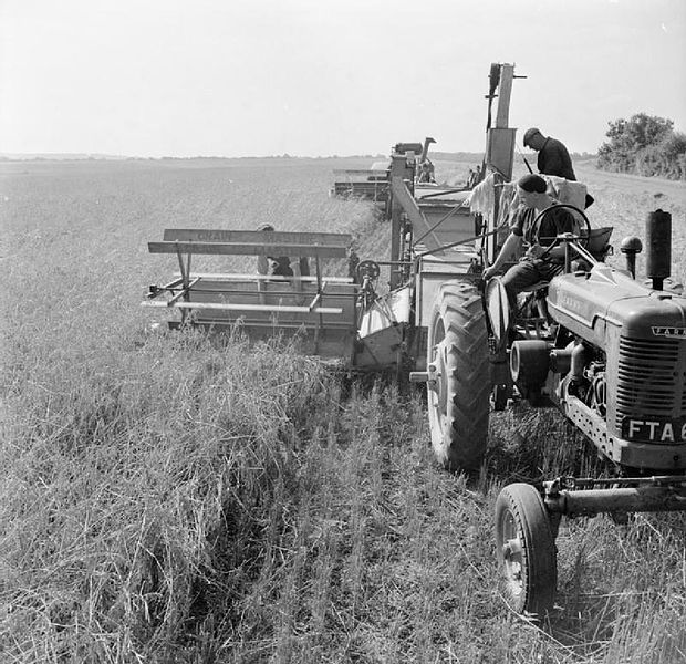 File:Harvesting at Mount Barton, Devon, England, 1942 D10311.jpg