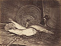 Henry Bailey (English, active late 1860s) - Still Life with Carp and Pike - Google Art Project.jpg